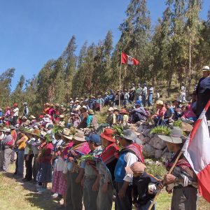 Charcana 044