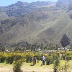IMG_1631